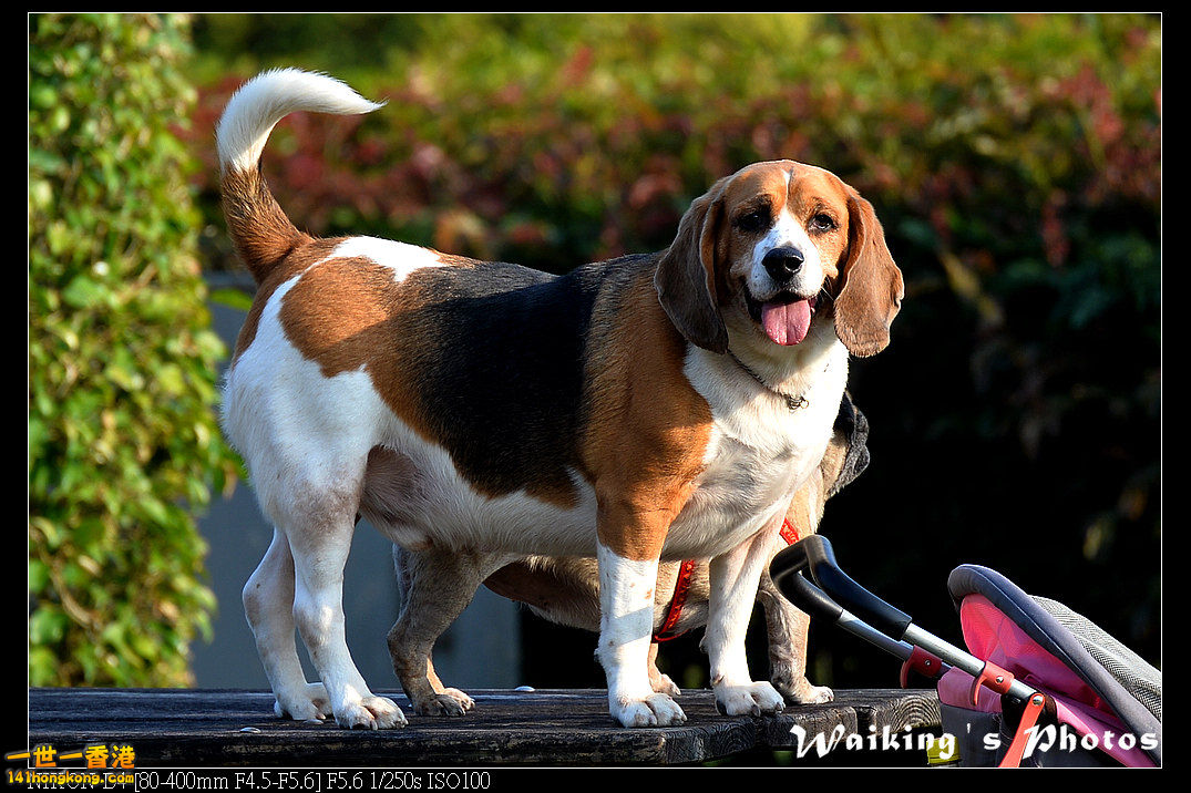 DSC_0569.jpg
