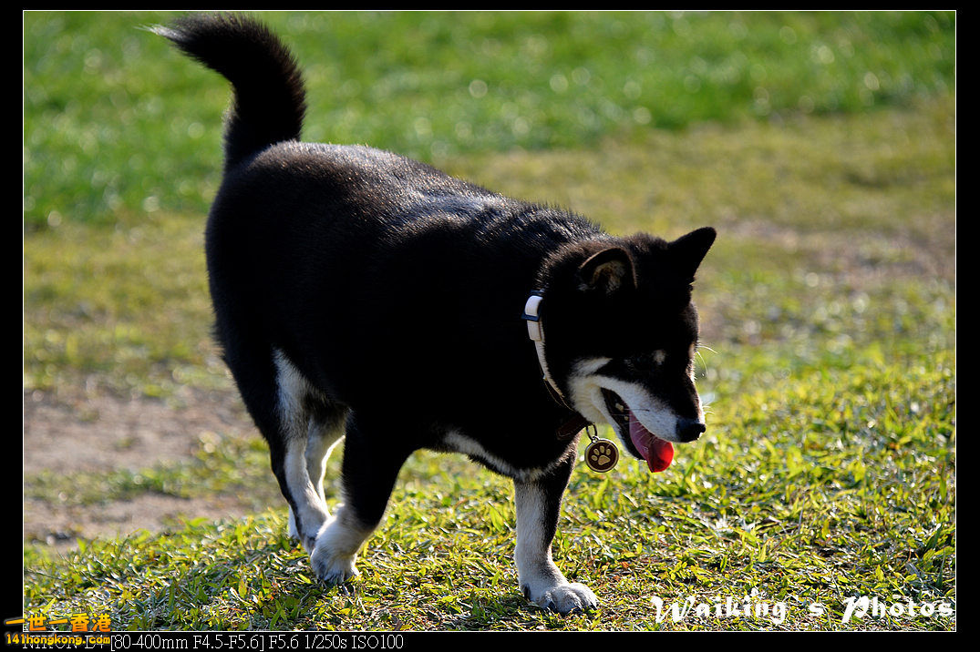 DSC_0573.jpg