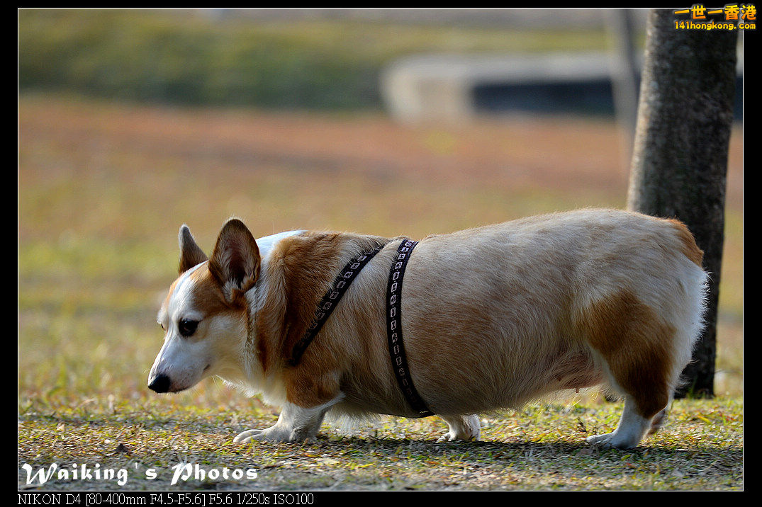 DSC_0596.jpg