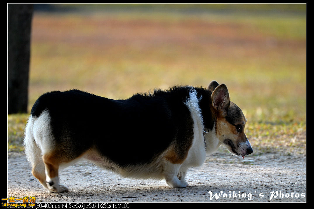 DSC_0599.jpg