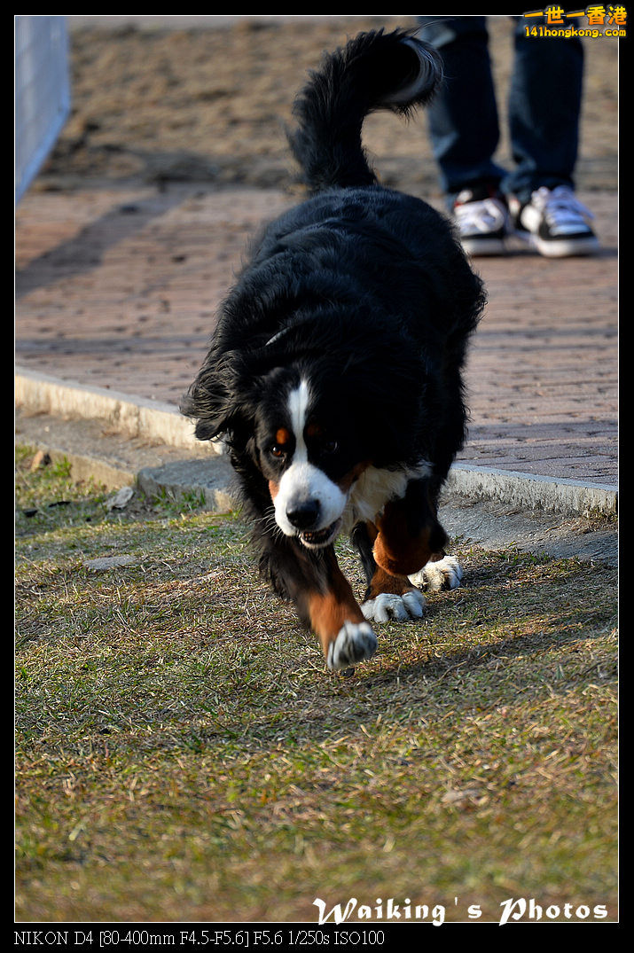 DSC_0623.jpg