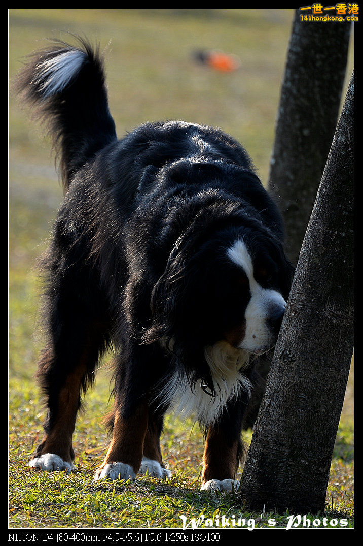 DSC_0633.jpg