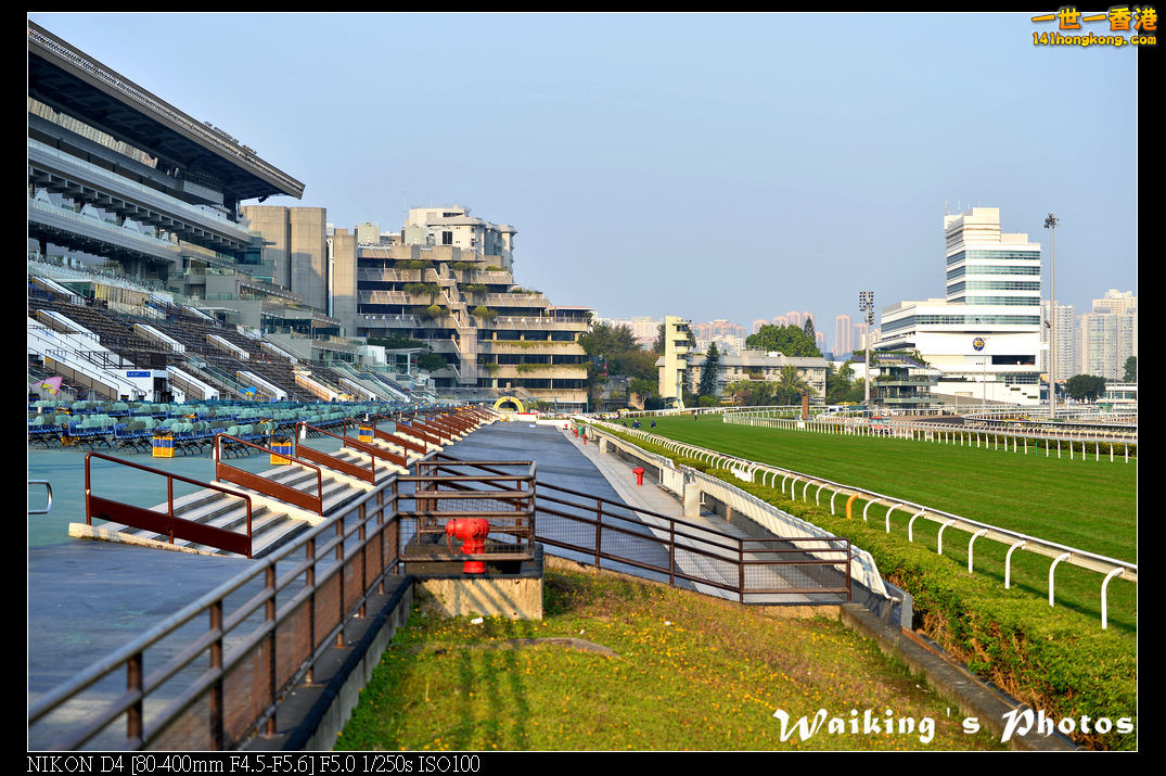 DSC_0652.jpg