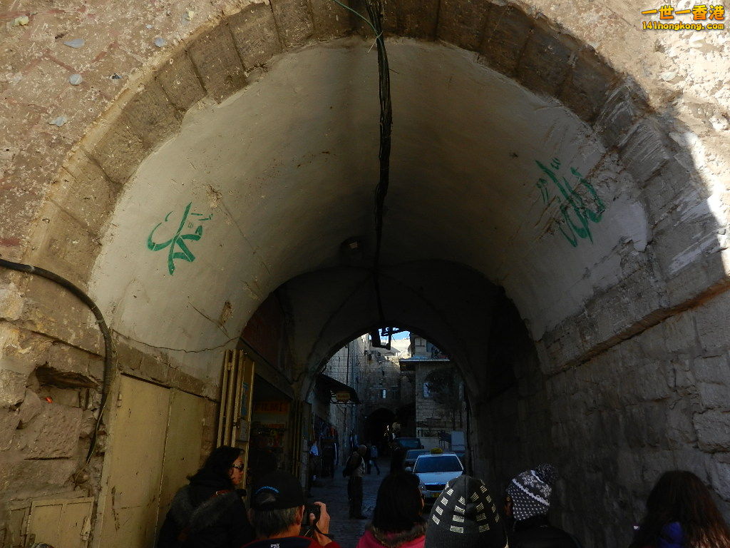 DSCN6466.JPG