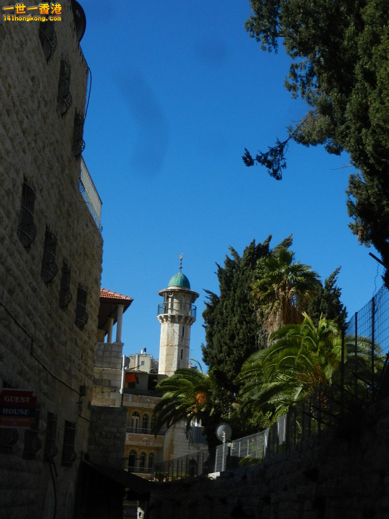 DSCN6501.JPG
