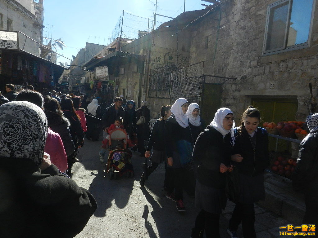 DSCN6509.JPG