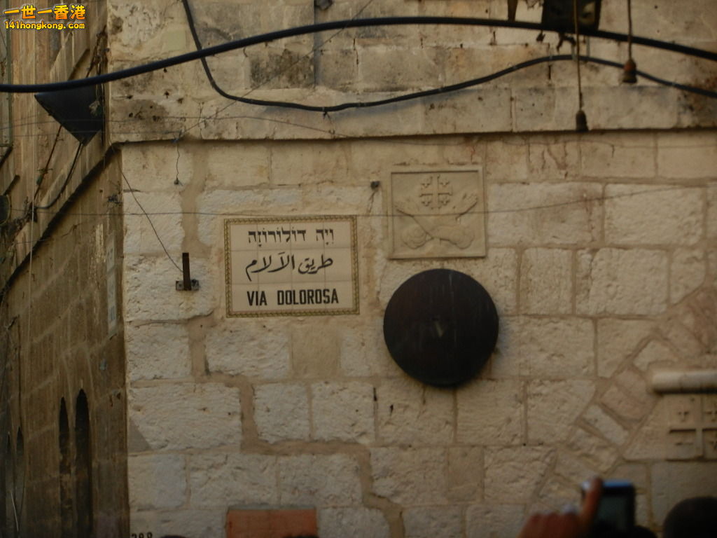 DSCN6519.JPG