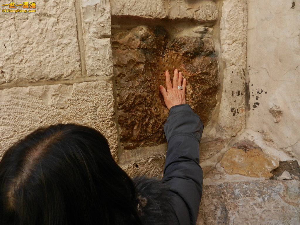 DSCN6524.JPG