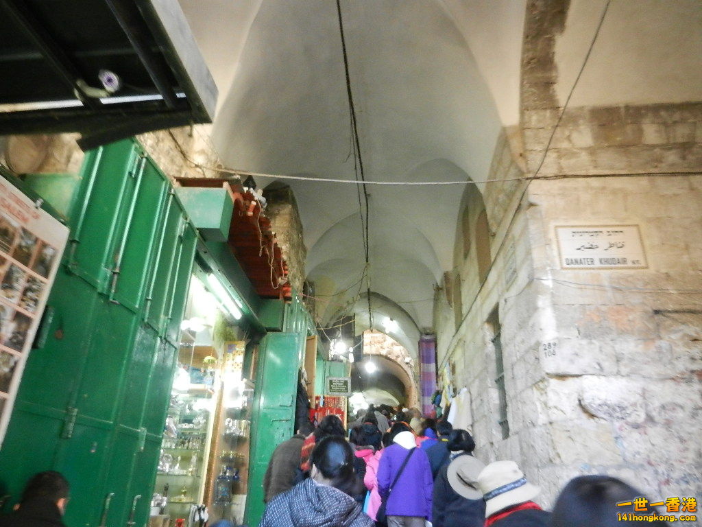DSCN6530.JPG