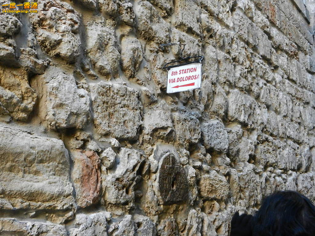 DSCN6540.JPG