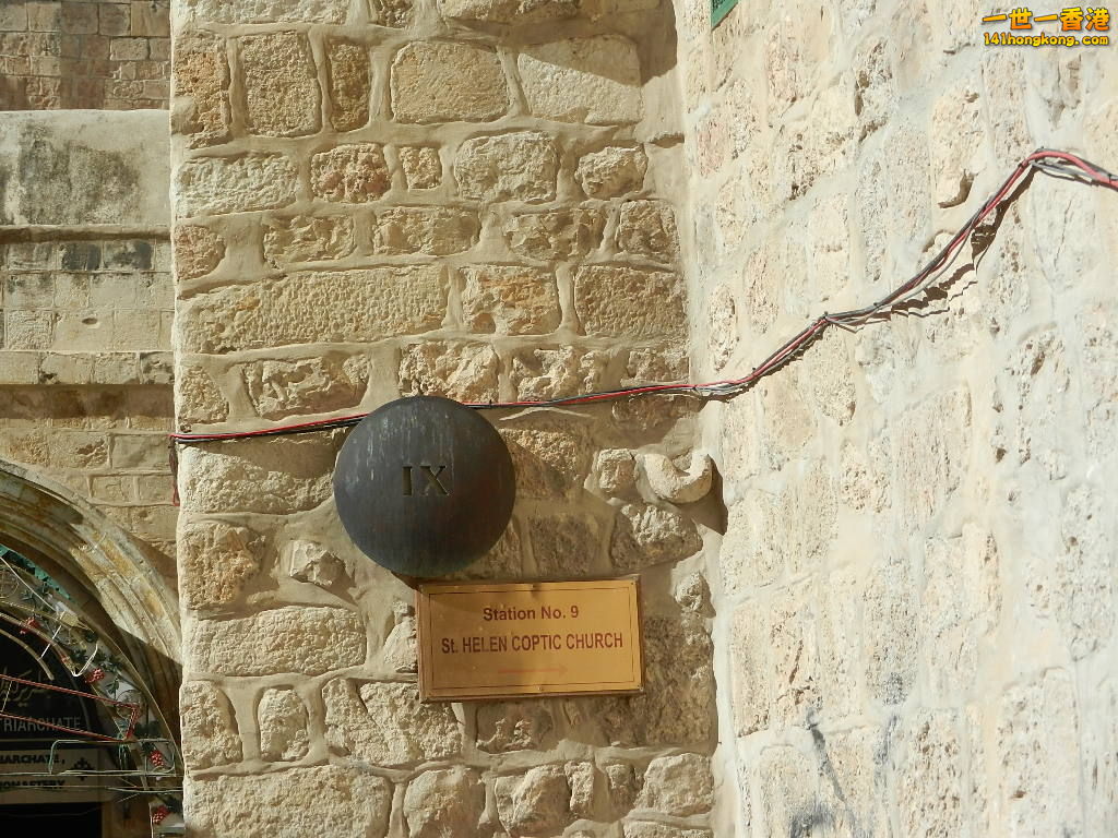 DSCN6541.JPG