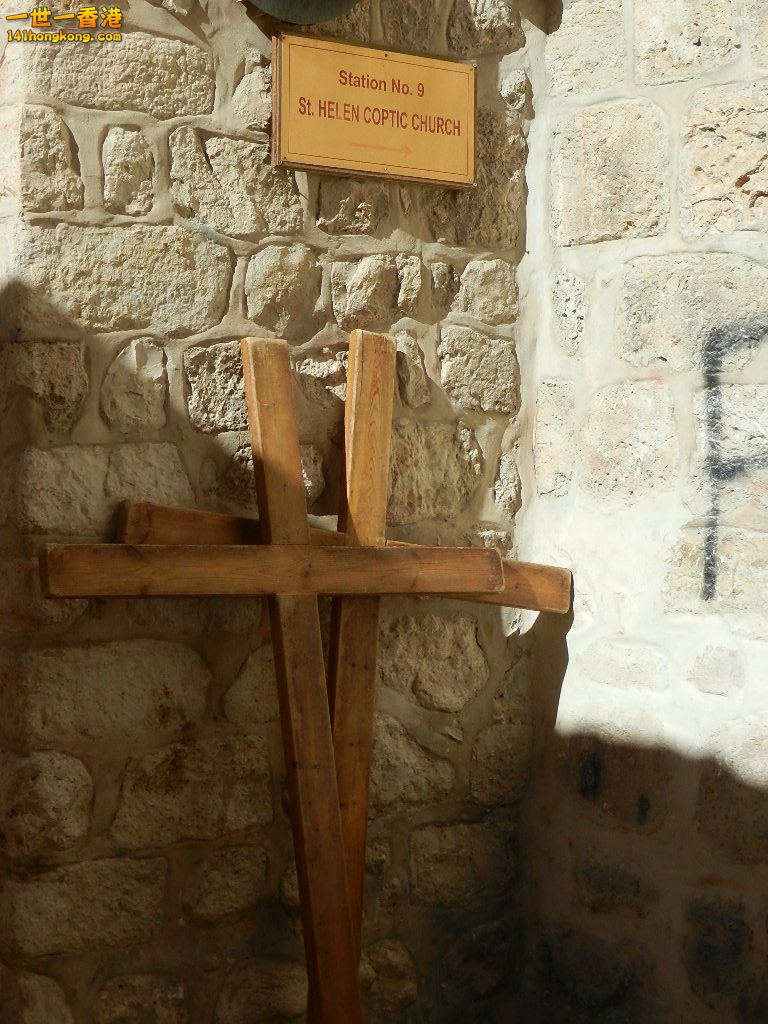 DSCN6544.JPG