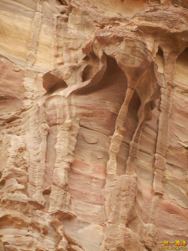 DSCN7234.JPG
