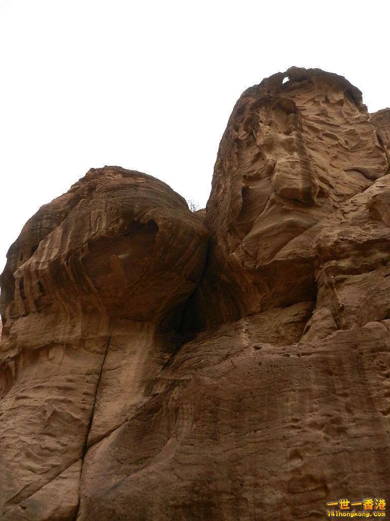 DSCN7021.JPG