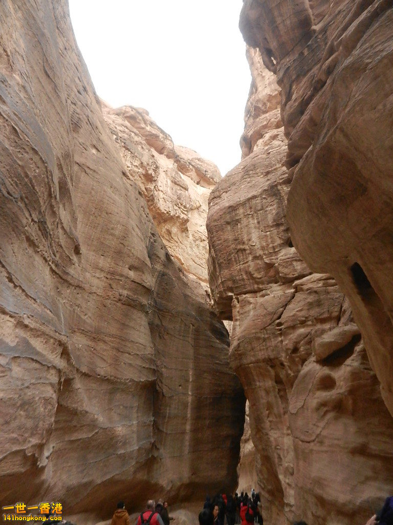 DSCN7028.JPG