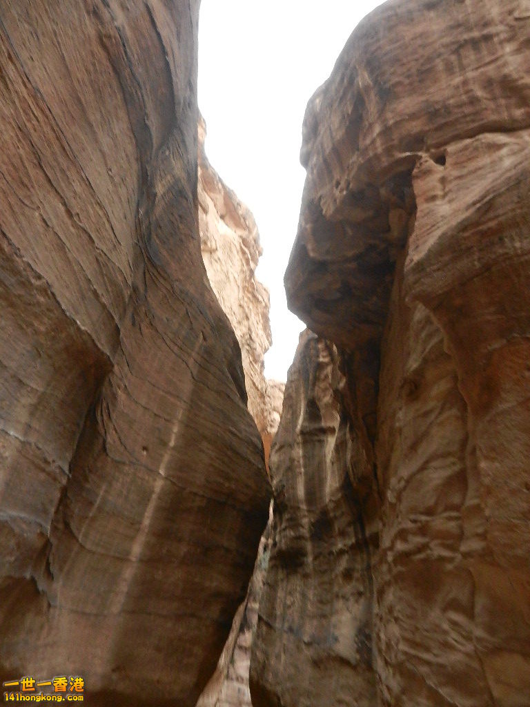 DSCN7029.JPG