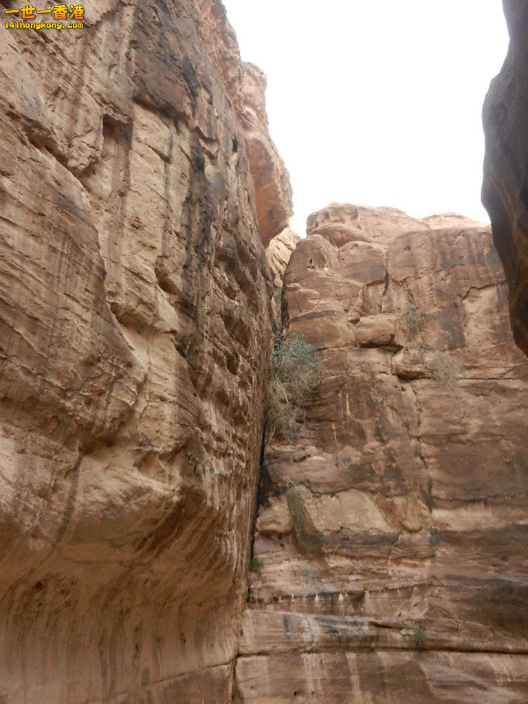 DSCN7031.JPG