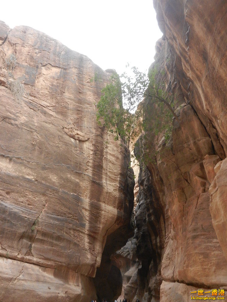 DSCN7034.JPG