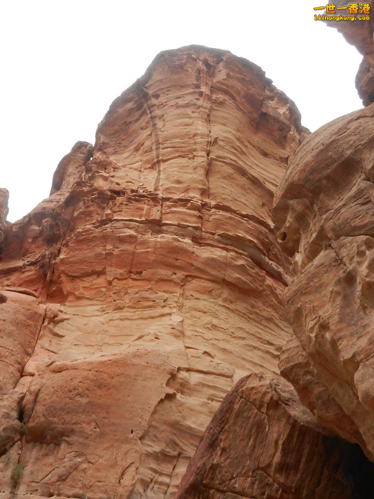 DSCN7061.JPG
