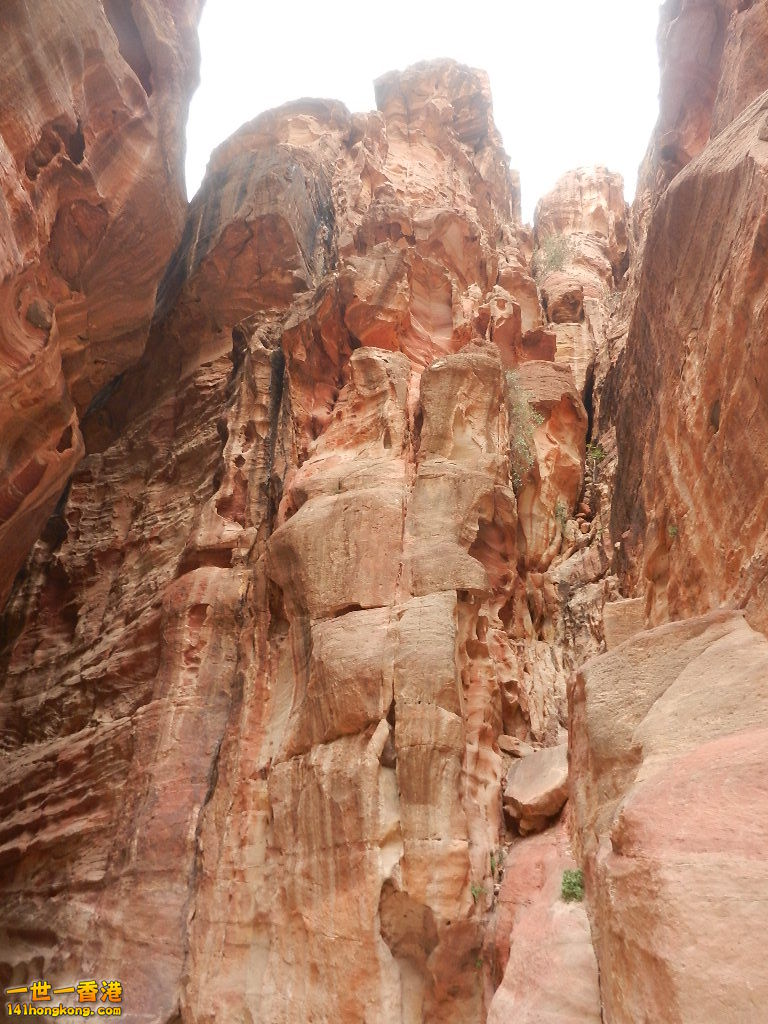 DSCN7062.JPG