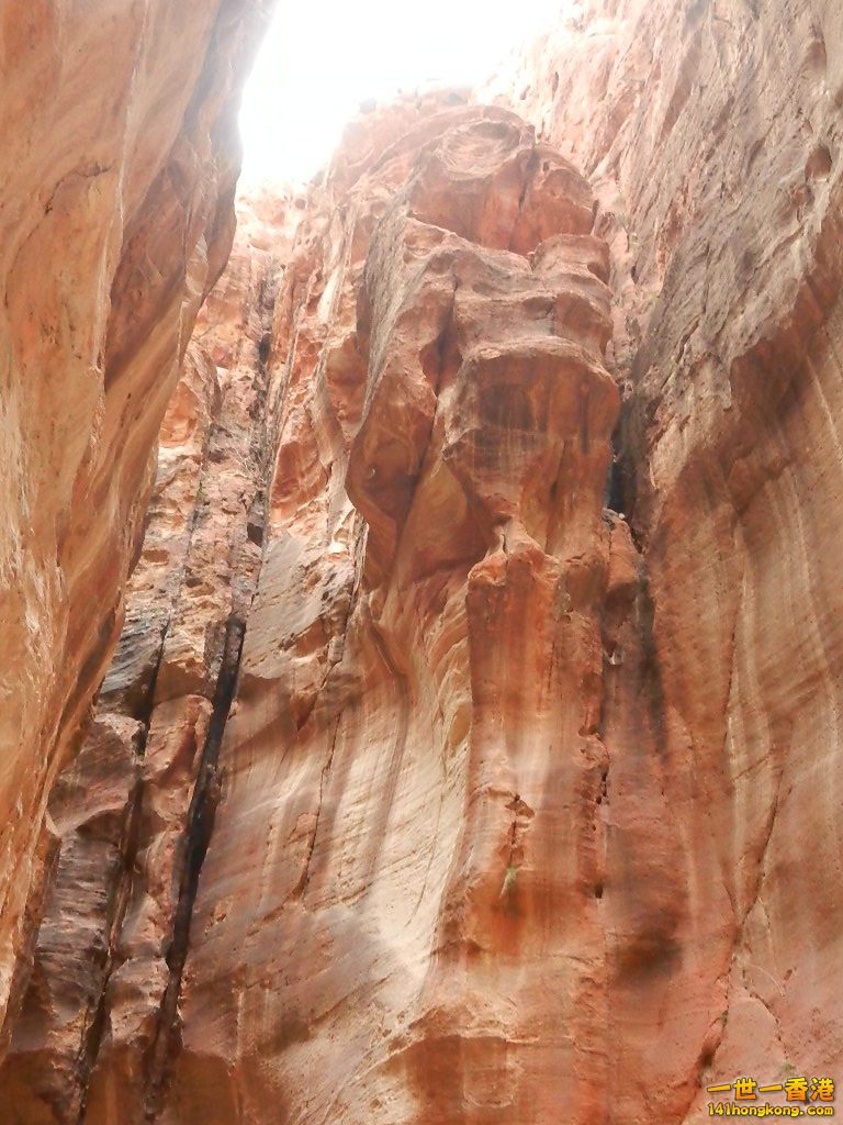 DSCN7063.JPG