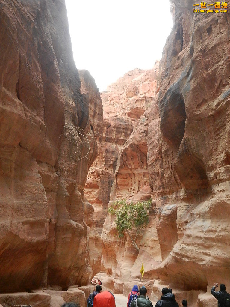 DSCN7074.JPG