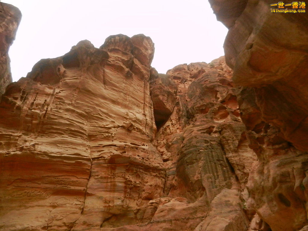 DSCN7078.JPG