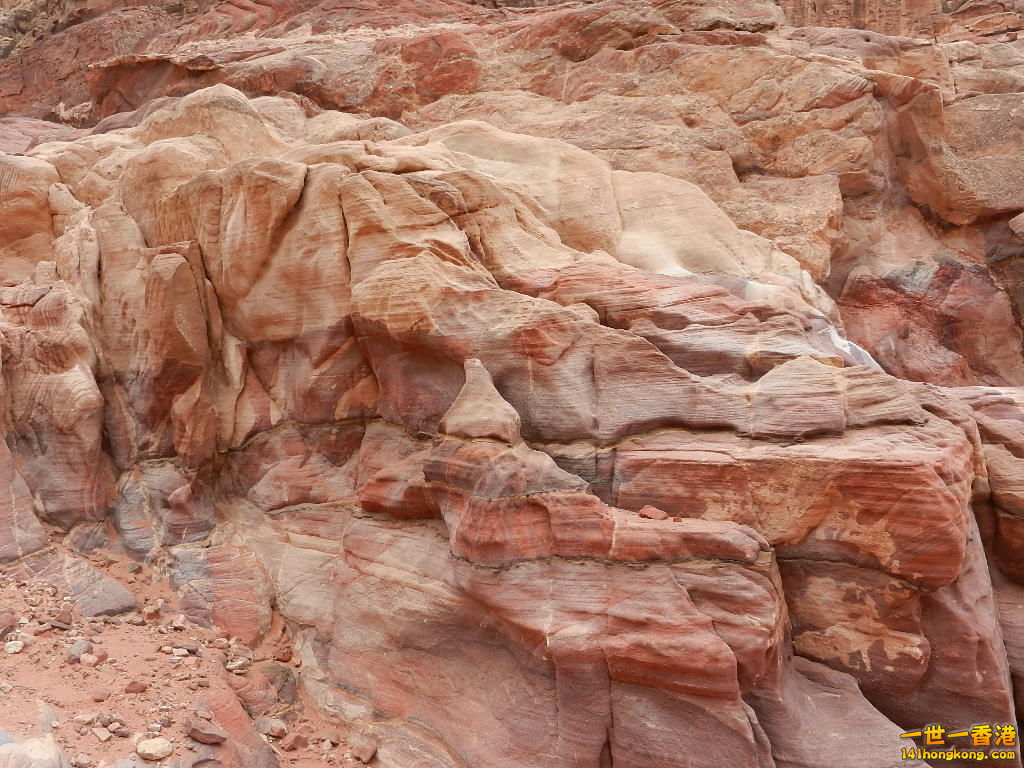 DSCN7139.JPG