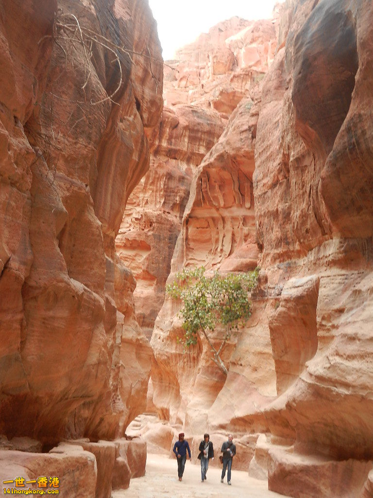 DSCN7216.JPG
