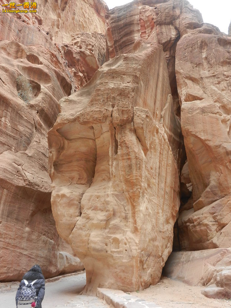 DSCN7224.JPG