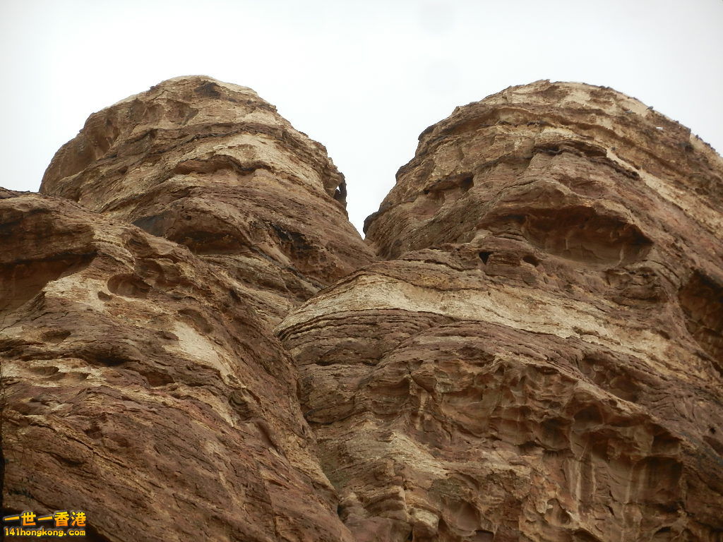 DSCN7228.JPG