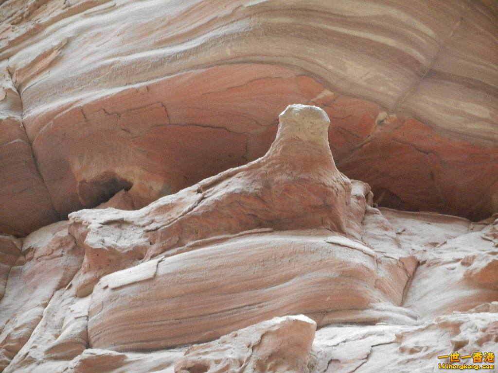 DSCN7230.JPG