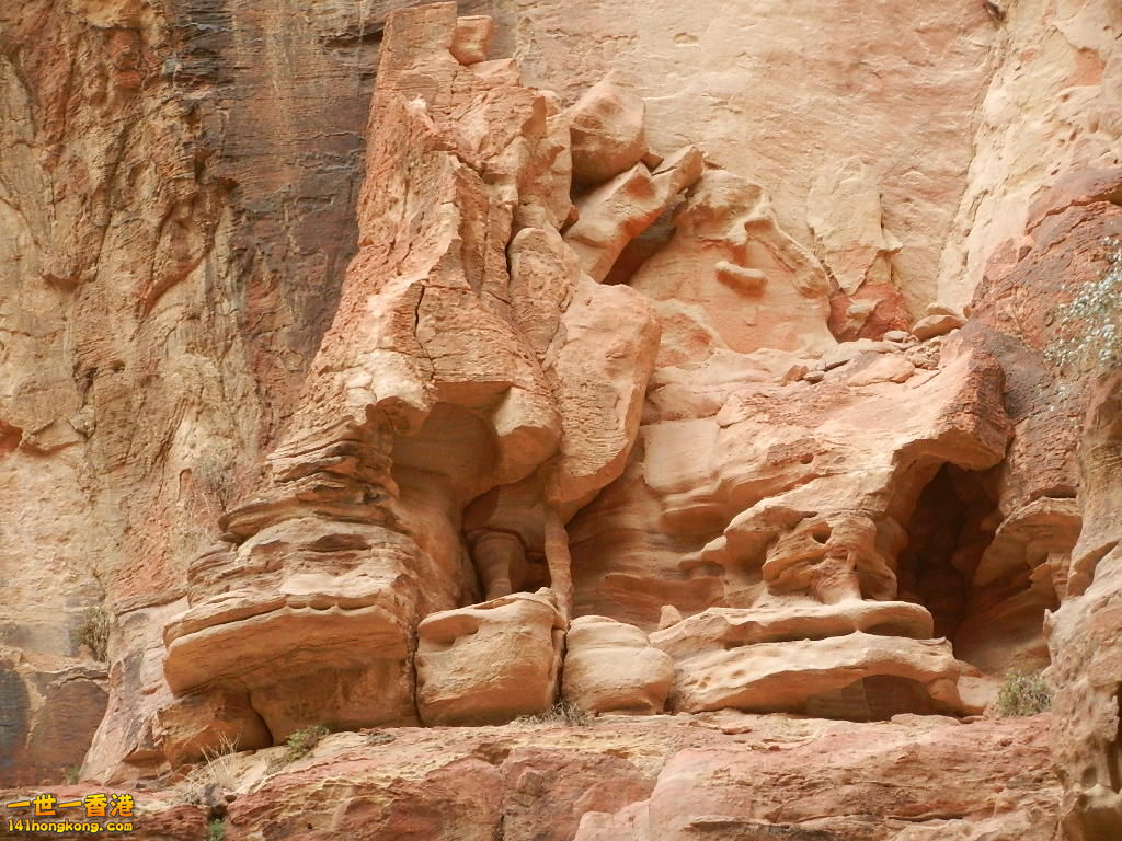 DSCN7233.JPG