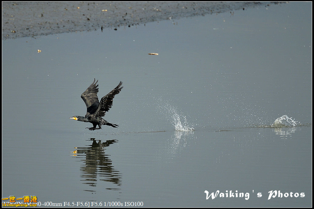 DSC_0035.jpg