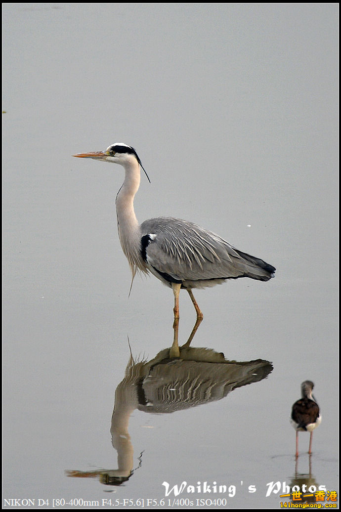 DSC_9406.jpg