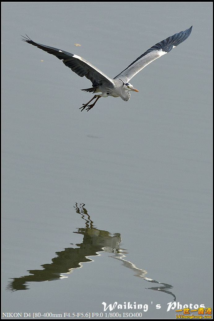 DSC_9820.jpg