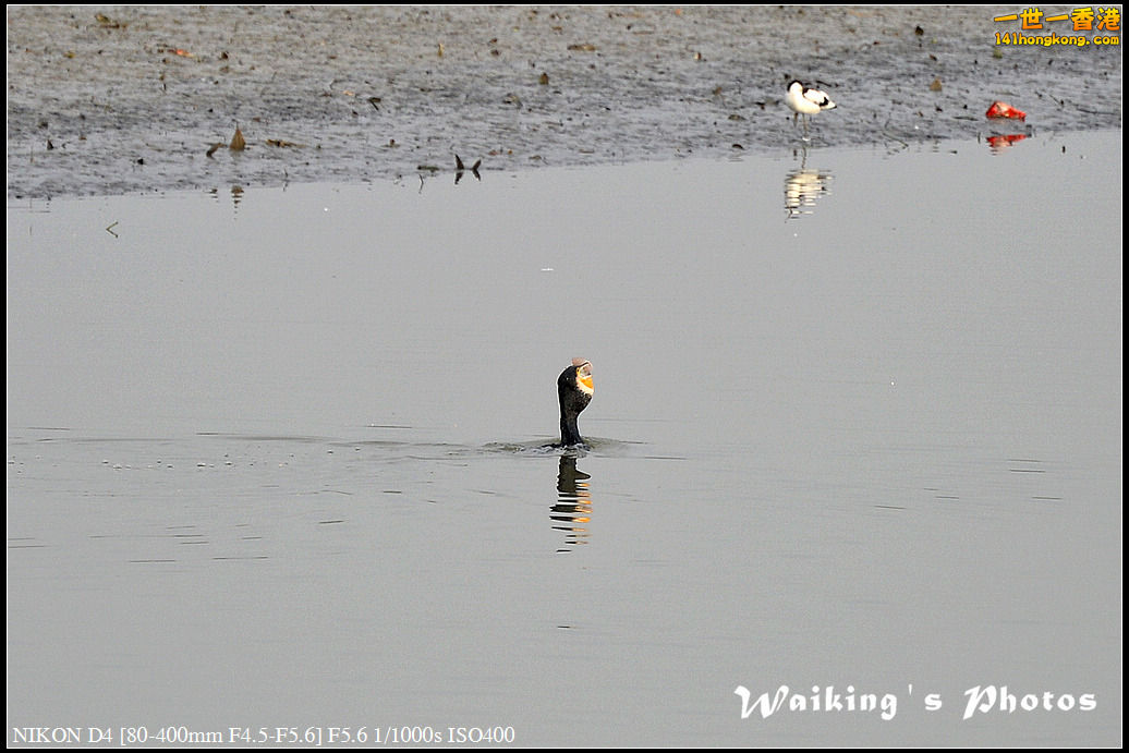 DSC_9624.jpg