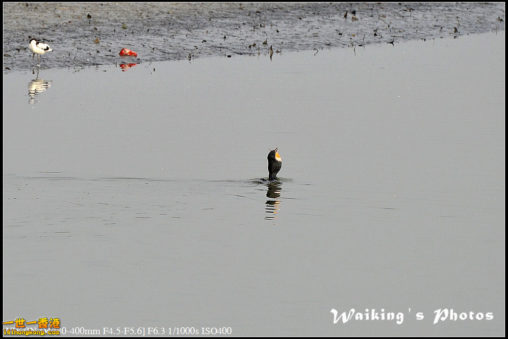 DSC_9642.jpg