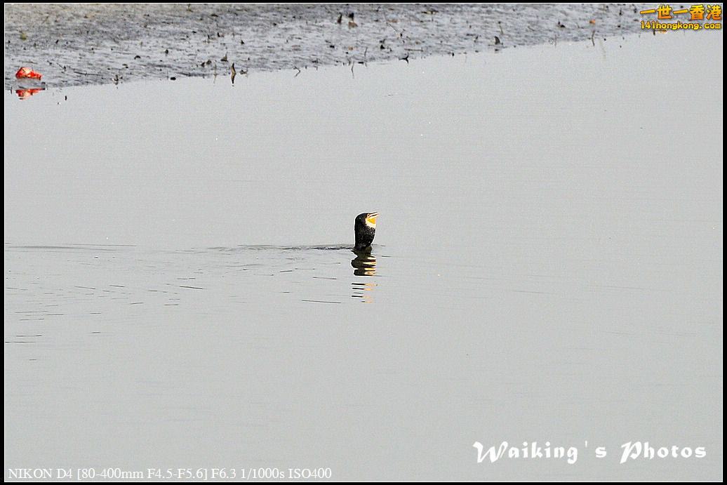 DSC_9645.jpg