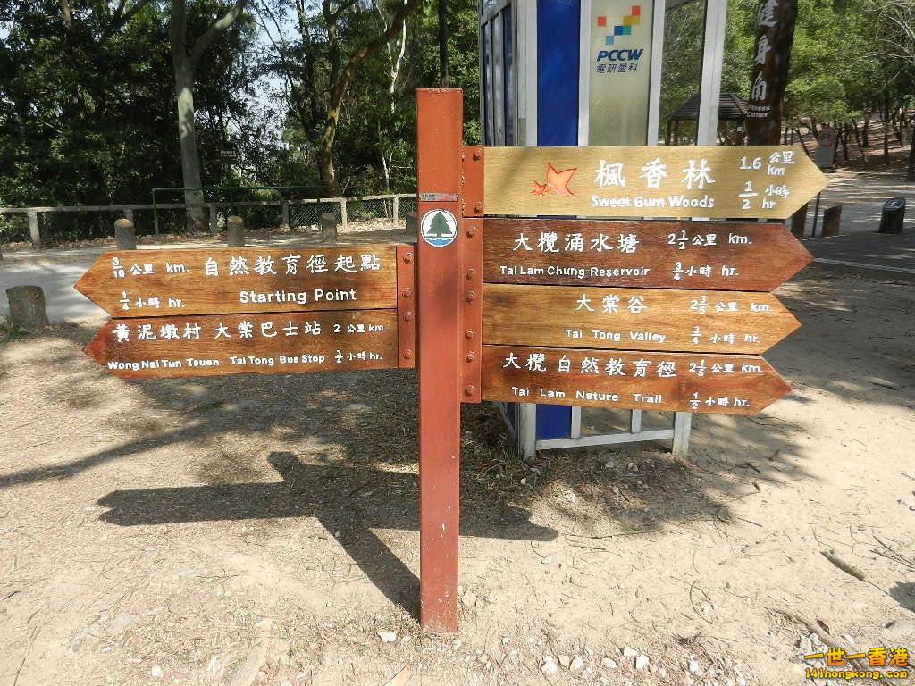 DSCN7721.JPG