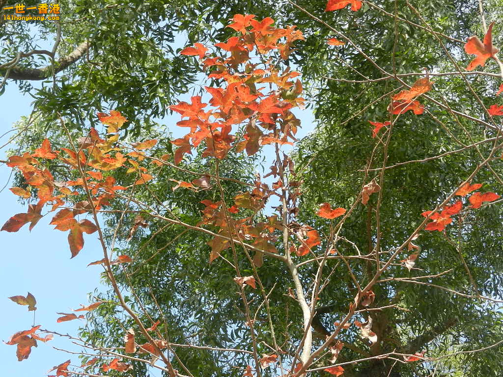DSCN7734.JPG
