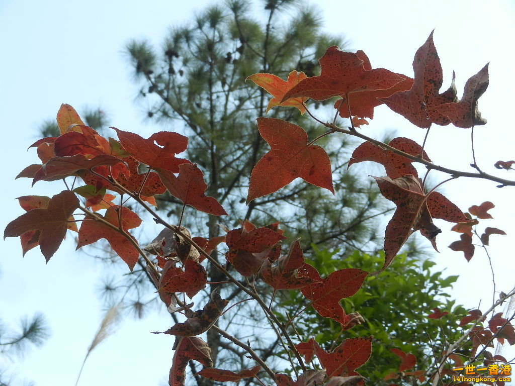 DSCN7757.JPG