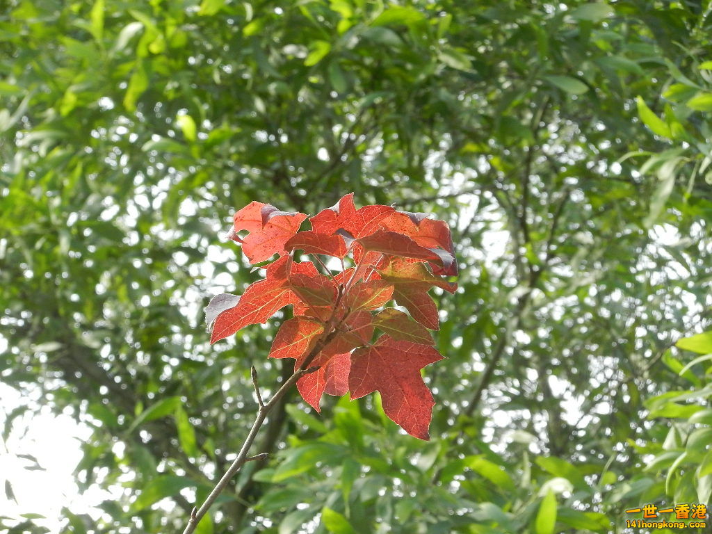 DSCN7749.JPG