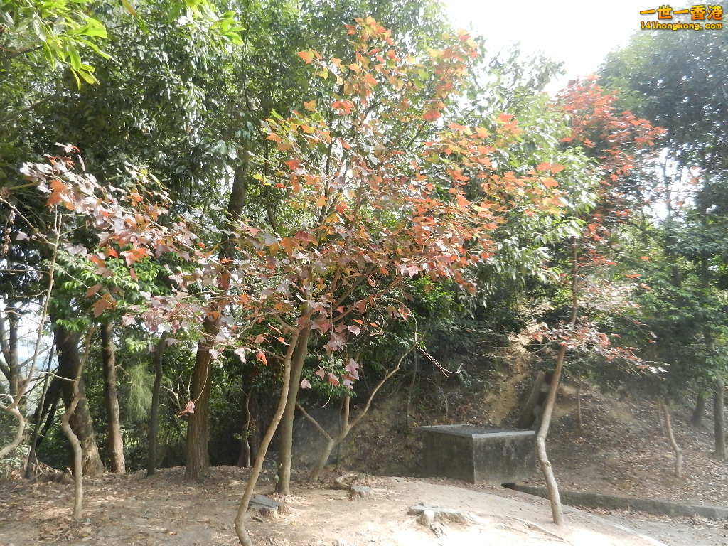 DSCN7789.JPG