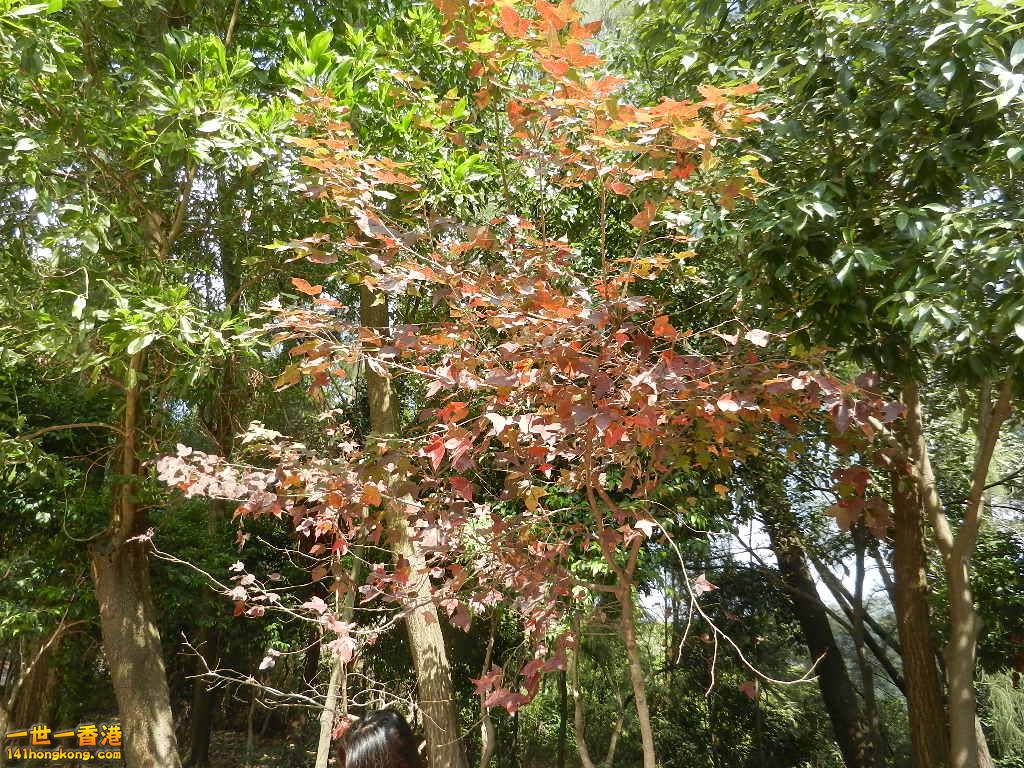 DSCN7816.JPG