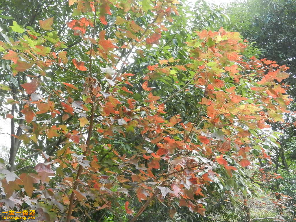 DSCN7819.JPG
