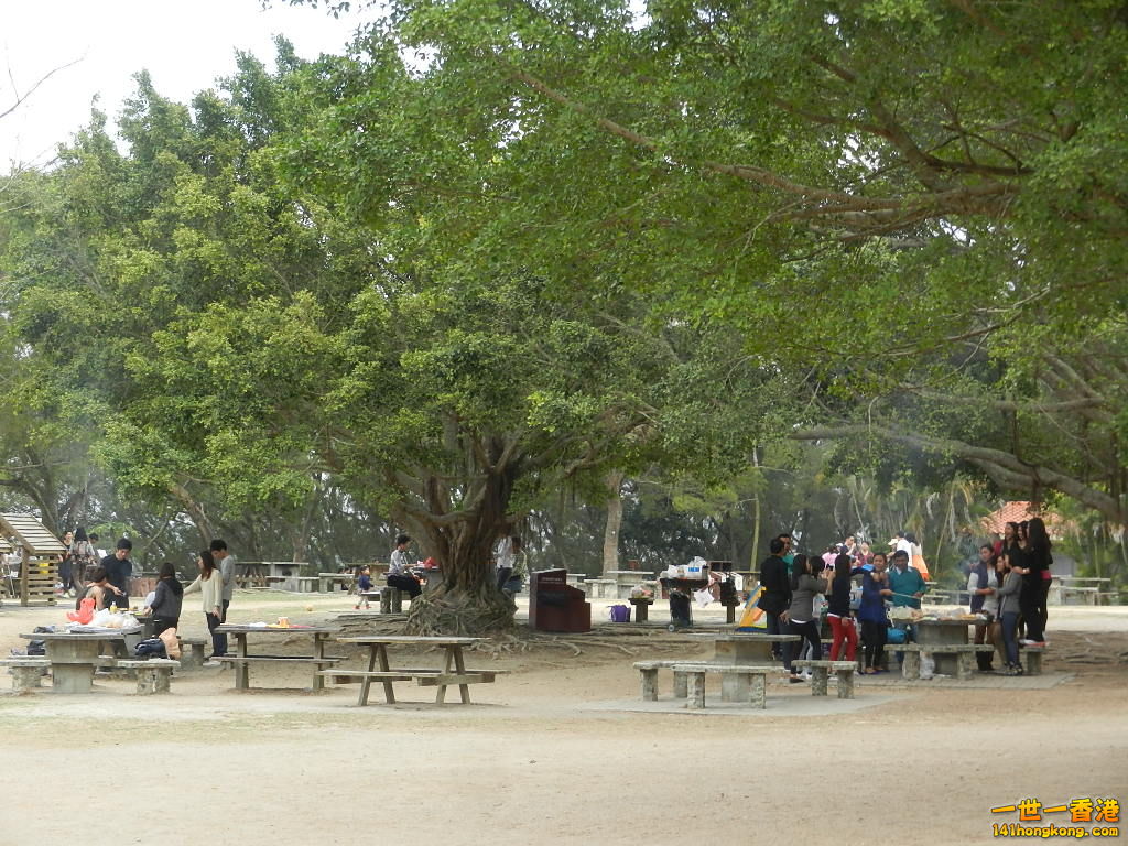 DSCN7839.JPG