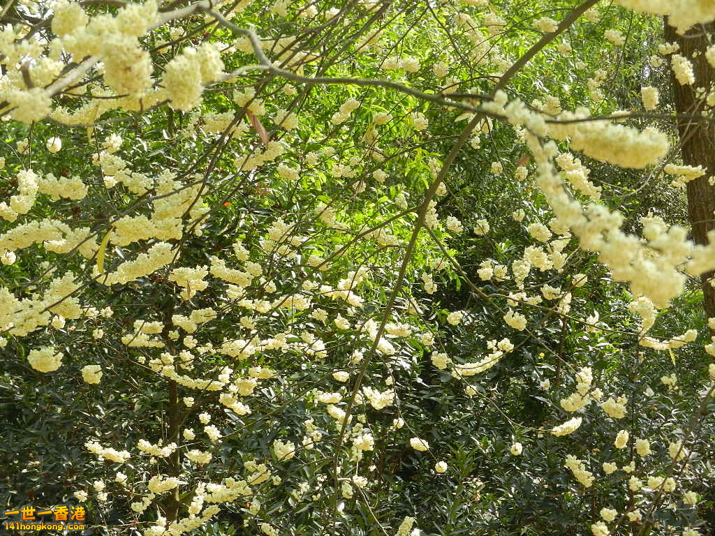 DSCN7737.JPG