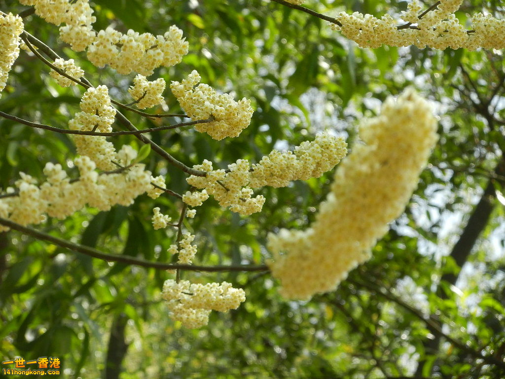 DSCN7741.JPG