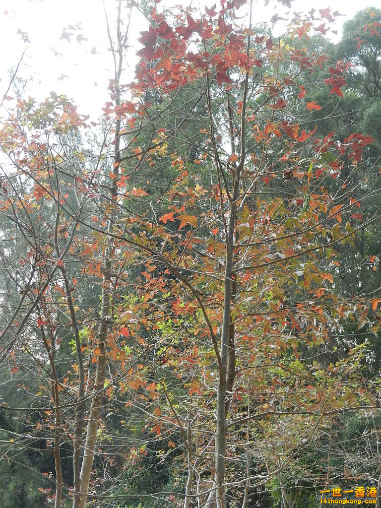 DSCN7770.JPG